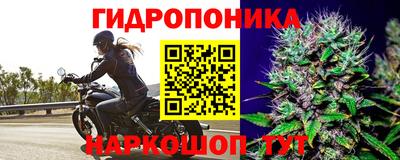 ПСИЛОЦИБИНОВЫЕ ГРИБЫ Малгобек