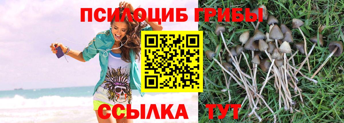 Гулькевичи  Псилоцибиновые грибы мухоморы  Вход с VPN 